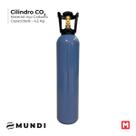 Cilindro de Gás CO2 em Aço carbono (sem carga) Cilindro de Gás Co2 Aço Carbono 4,5kg (sem carga)