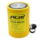 Cilindro Hidraulico 50 Ton Simples Acao RC50100SA ACM TOOLS
