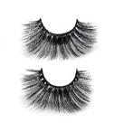 Cílios 08 False Eyelashes 3D - Daymakeup Cílios 08 False Eyelashes 3D - Daymakeup