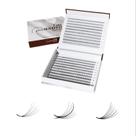 Cílios postiços THE LASH SUPPLY 7D Wispy Wet Look 450 fãs