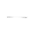 Cinta de Inox para Tanque Combustível Plataforma 45 cm