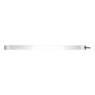 Cinta De Inox Para Tanque Ø680mm Plataforma