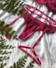 Cinta Liga Perna Cherry