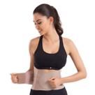 Cinta Modeladora Abdominal Easy Waist Unissex Esbelt 01017 Chocolate