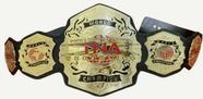 Cinturão de Campeonato de Wrestling com Placas Douradas e Cinta de Couro