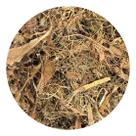 Cipó Imbé 1kg (Desidratado)