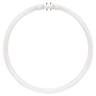 Circulina fluorescente KOR FC40T5/-12 T5 40W 4100K base 2GX13 paquete de 2