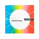 Círculo Cromático - Primavera