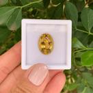Citrino Oval 10,71ct