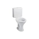 Cj saveiro br 3/6 lts ecoflush celite