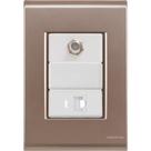 Cj Tomadas RJ45 Ethernet + TV Coaxial Liz Ouro Velho Tramontina completo pronto