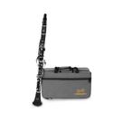 Clarinete Dominante em Sib Bb com 17 Chaves Estojo Luxo