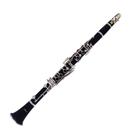 Clarinete Shelter Bb 17 Chaves C/Estojo