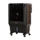 Climatizador portátil preto 45 litros 127v - polo clima