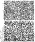 Cling Stamps Stampers Anonymous Tim Holtz Tiny Prints CMS460