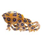 Clipes de cabelo OMG Decor Novelty Blue-Ringed Octopus para menina