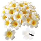 Clipes de cabelo Pursuestar 50 unidades de flor havaiana de espuma branca de 2,5 cm