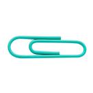 Clips Color Plus 28 mm - Verde - Molin Clips Color Plus 28 mm - Verde - Molin
