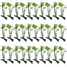 Clips para el cabello Luinabio 30 piezas estilo plantas colores mixtos