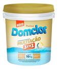 Cloro Piscina Dicloro Domclor Multiação 3 Em 1 10kg