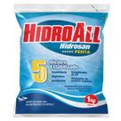 Cloro Piscina Hidrosan Penta 1Kg Hidroall