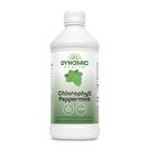 Clorofila Líquida com Hortelã 473ml Dynamic Health 100mg