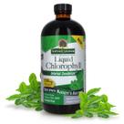 Clorofila líquida Nature's Answer Spearmint 473 ml