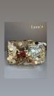 Clutch Dourada Lantejoulas