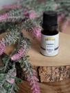 Coala Essência 10 ML Óleos Essenciais Aromaterapia para Difusor Elétrico Aromas a Escolher