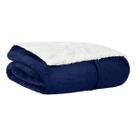 Coberdrom Cobertor Sherpa Dupla Face Solteiro Liso