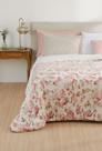 Coberdrom Dupla Face Com Sherpa Estampado Casal 2,00mx2,20m