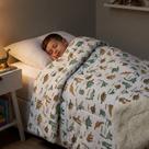Coberdrom Infantil Dino Wolrd Tutti Kids Dupla Face Flannel Sherpa 2,40x1,50m Solteiro