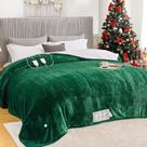 Cobertor aquecido elétrico King Size Greenoak 230x225cm verde menta