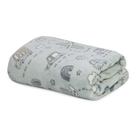 Cobertor Baby Infantil Flannel Microfibra Estampado Menino Menina 90x110 - Camesa Cor:Transporte Cobertor Baby Infantil Flannel Microfibra Estampado Menino Menina 90x110 - Camesa Cor:Transporte