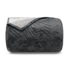 Cobertor Buettner King Flannel Plush 100% Poliéster Dupla Face 260mx280m Metal Escuro / Metal Claro