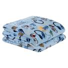Cobertor Carrosel Solteiro Infantil Mantinha Flannel Estampada 01 Peça - Game