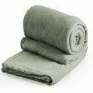 Cobertor Casal Padrão Soft Liso 1 Peça Fendi Cobertor Casal Padrão Soft Liso 1 Peça Fendi