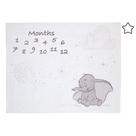 Cobertor de bebê Disney Dumbo Super Soft Milestone branco/cinza