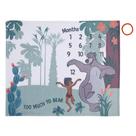 Cobertor de Bebê NoJo Disney - Livro da Selva (Too Much to Bear)