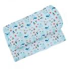 Cobertor Flanelado Karinho 90 cm x 70 cm - Papi