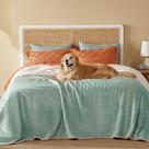 Cobertor impermeável Bedsure para cama Sherpa Fleece Light Green
