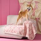 Cobertor impermeável para cachorros LE SURE para cães grandes, rosa Taffy
