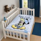Cobertor Infantil Bebê Raschel Plus 90cmx1,10m Disney Baby Jolitex