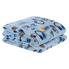 Cobertor Manta Flannel Infantil Solteiro 2,20x1,50m Toque Macio Edredom Bouti Kids