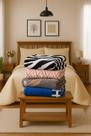 Cobertor Manta Solteiro 2,00 x 1,80 Softy Fleece Estampada Felpuda Antialergico Macio Inverno Frio Mantinha Plush