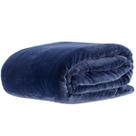 Cobertor Microfibra Queen Size Lumini Corttex 220x240 cm Gramatura de 300g/m2 Toque Macio e Suave