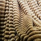 Cobertor Queen Grosso Flannel Utrasoft Aveludado 2,40m x 2,20m Fluffy Willow Cobertor Queen Grosso Flannel Utrasoft Aveludado 2,40m x 2,20m Fluffy Willow