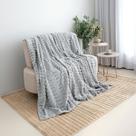 Cobertor Queen Manta Flannel Ultrasoft 01 Peça Toque Fofo Polar Platina