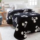 Cobertor Solteiro Raschel Plus 1,50 X 2,00m Juvenil Jolitex Mickey