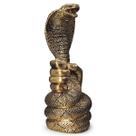 Cobra Naja Serpente Uraeus Invencibilidade e Proteção Mãos